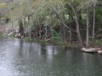 20100206 574.JPG